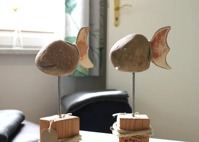 Steinfisch דירה *